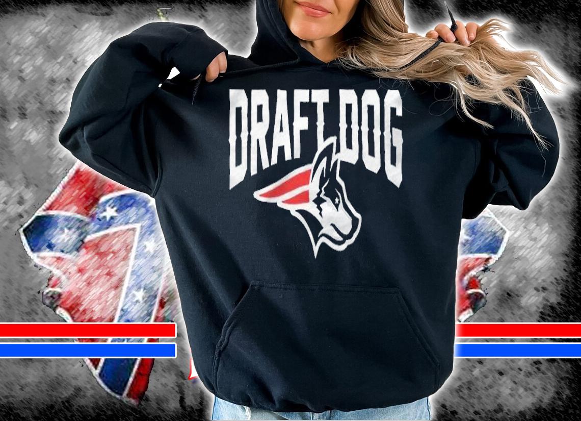Draft Dog New England football logo T-shirt hoodie