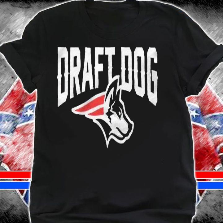 Draft Dog New England football logo T-shirt shirt