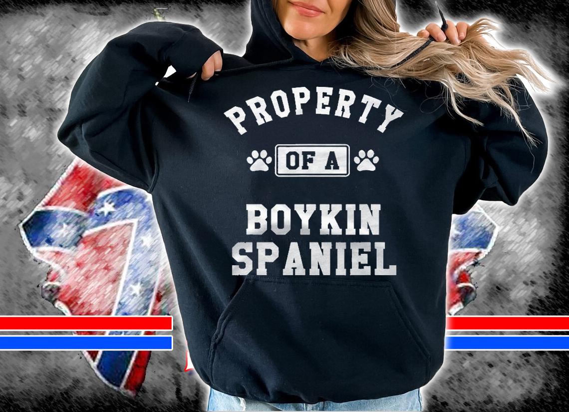 Property Of Boykin Spaniel  Funny Spaniel Lover Shirt Gift Shirt hoodie