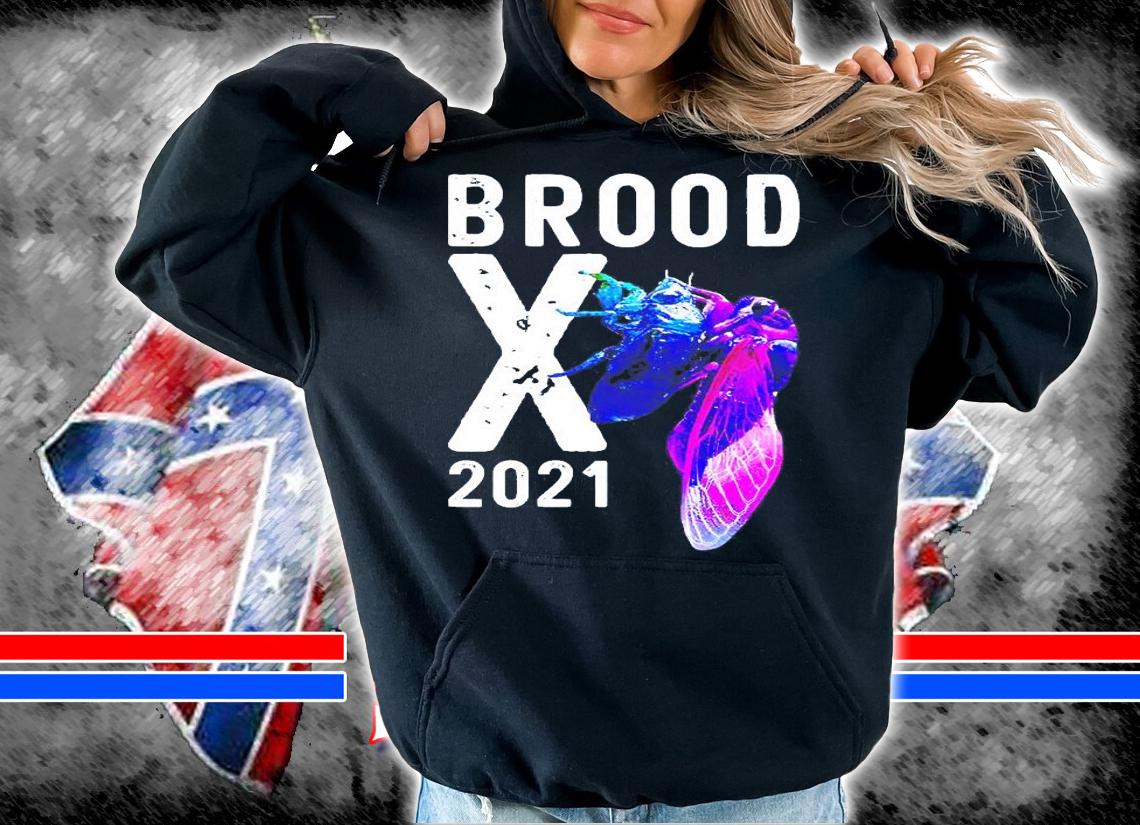 Cicada 2021 brood X shirt hoodie