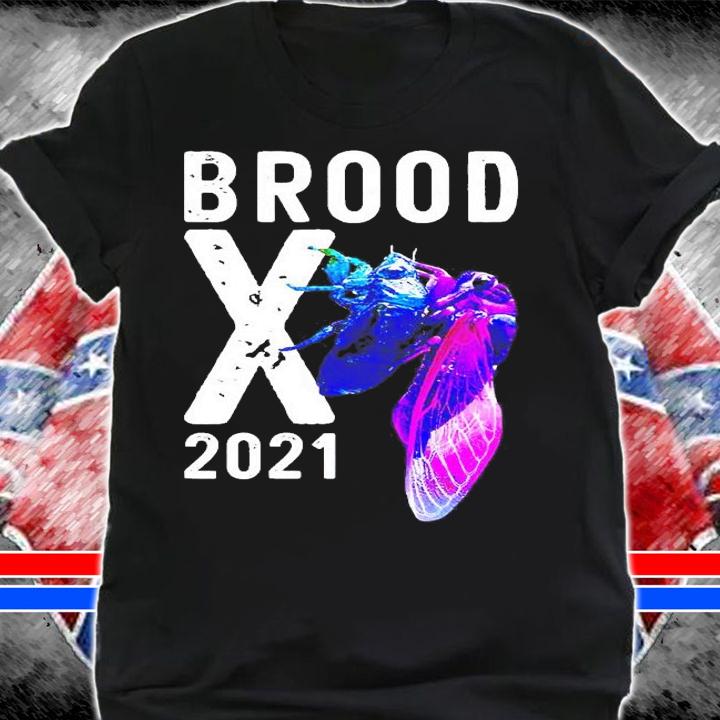 Cicada 2021 brood X shirt shirt